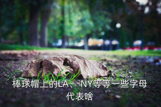 棒球帽上的LA、 NY等等一些字母代表啥