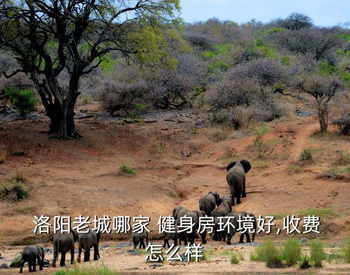 洛陽健身館,洛陽黃金時代健身