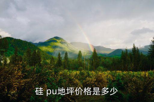 硅 pu地坪價格是多少