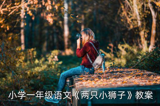  小學(xué)一年級語文《兩只小獅子》教案