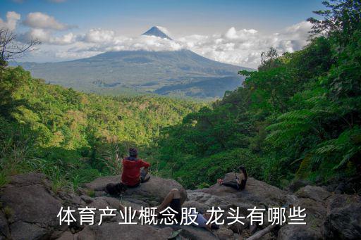  體育產(chǎn)業(yè)概念股 龍頭有哪些