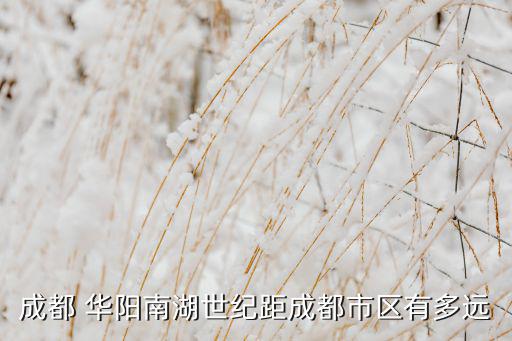 成都 華陽(yáng)南湖世紀(jì)距成都市區(qū)有多遠(yuǎn)