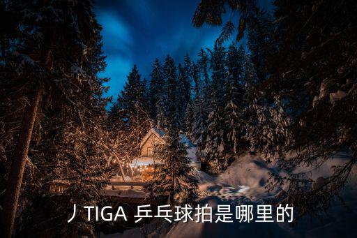 丿TIGA 乒乓球拍是哪里的