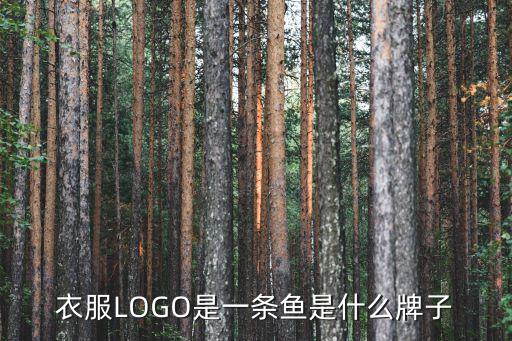 休閑品牌logo大全名稱,運動品牌logo大全名稱 大集合