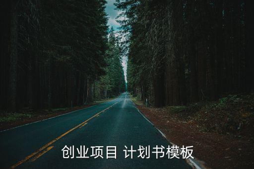  創(chuàng)業(yè)項目 計劃書模板