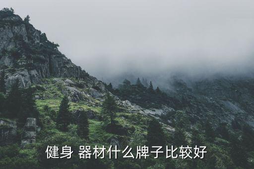 健身 器材什么牌子比較好