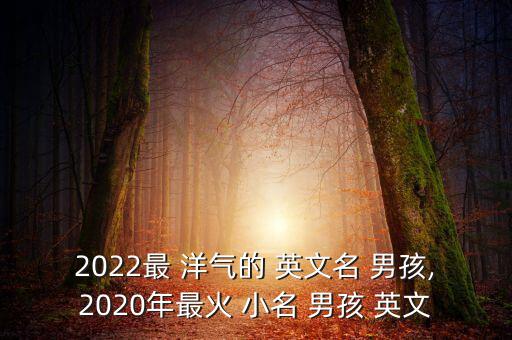 男孩小名洋氣點(diǎn)的英文屬馬,寶寶小名大全2021洋氣男孩英文