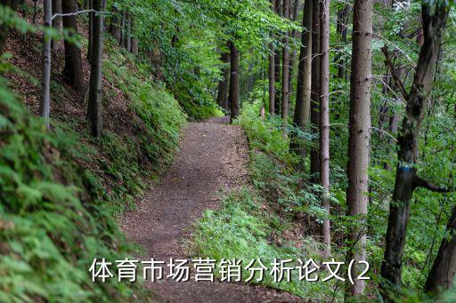  體育市場(chǎng)營(yíng)銷分析論文(2