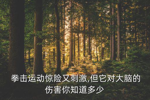 沙袋拳擊圖片,立式拳擊沙袋價格與圖片大全