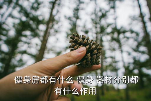 健身房健身器材簡(jiǎn)筆畫(huà),健身器材的簡(jiǎn)筆畫(huà)畫(huà)法