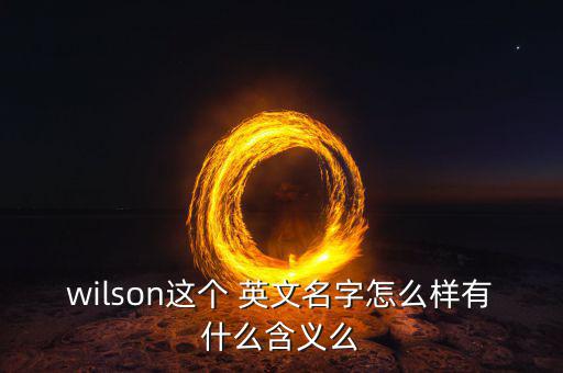 wilson這個 英文名字怎么樣有什么含義么