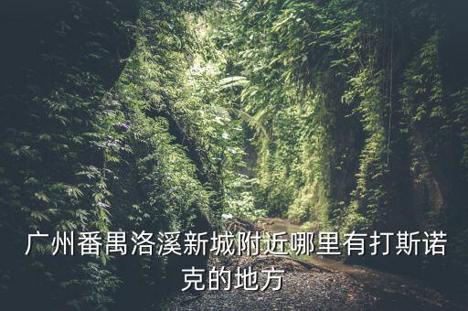  廣州番禺洛溪新城附近哪里有打斯諾克的地方