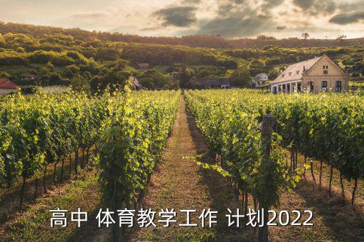 高中 體育教學(xué)工作 計(jì)劃2022