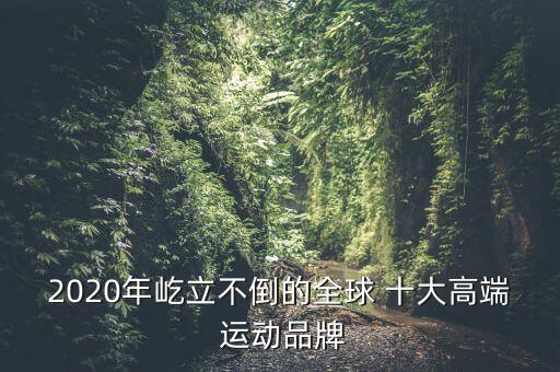 2020年屹立不倒的全球 十大高端 運動品牌