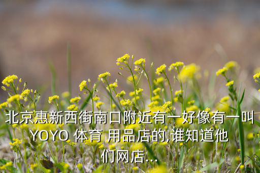 北京惠新西街南口附近有一好像有一叫YOYO 體育 用品店的,誰(shuí)知道他們網(wǎng)店...