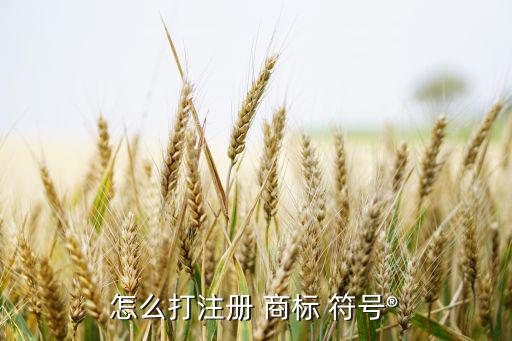 怎么打注冊(cè) 商標(biāo) 符號(hào)?