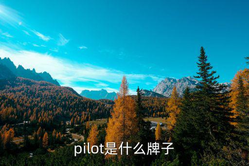 pilot是什么牌子