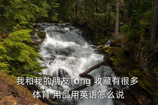 我和我的朋友Tong 收藏有很多 體育 用品用英語(yǔ)怎么說(shuō)