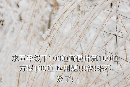 求五年級(jí)下100道簡(jiǎn)便計(jì)算100道方程100道 應(yīng)用題!!!快!來不及了!