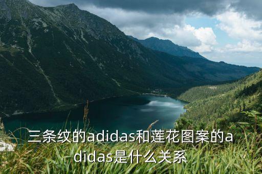 三條紋的adidas和蓮花圖案的adidas是什么關系