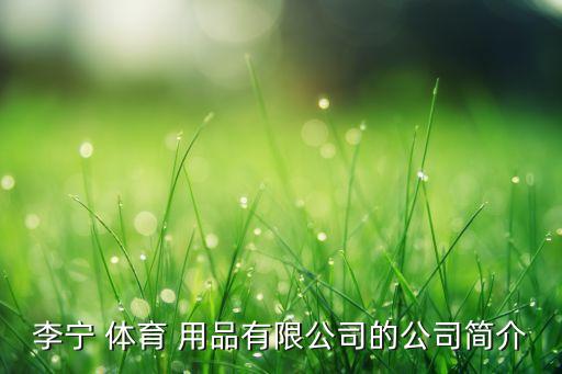 李寧 體育 用品有限公司的公司簡(jiǎn)介