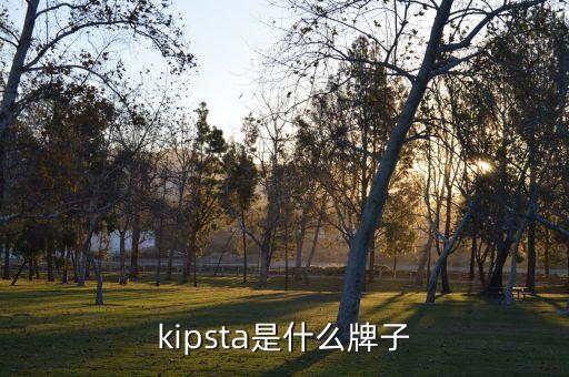 kipsta是什么牌子