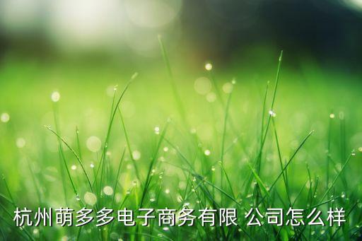 杭州萌多多電子商務(wù)有限 公司怎么樣