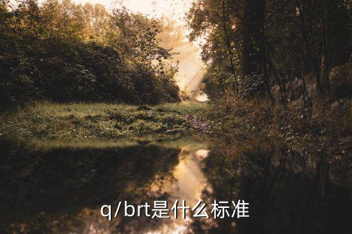 q/brt是什么標(biāo)準(zhǔn)