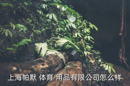 上海帕默 體育 用品有限公司怎么樣