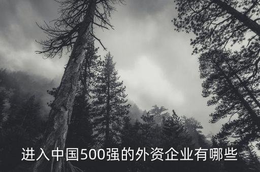 進(jìn)入中國(guó)500強(qiáng)的外資企業(yè)有哪些