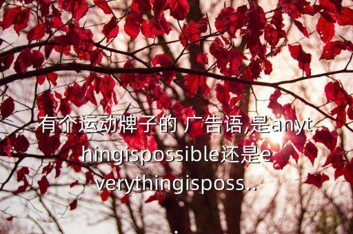 有個運動牌子的 廣告語,是anythingispossible還是everythingisposs...