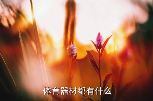 彤步體育用品,優(yōu)步體育用品有限公司