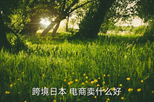 跨境日本 電商賣什么好