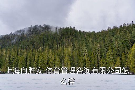 上海向勝安 體育管理咨詢有限公司怎么樣