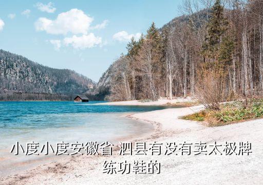 小度小度安徽省 泗縣有沒有賣太極牌練功鞋的