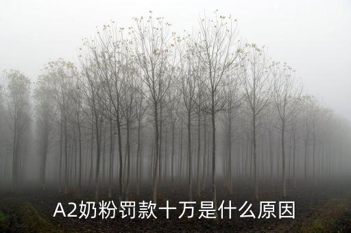 A2奶粉罰款十萬是什么原因