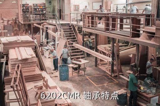 6202CMR 軸承特點