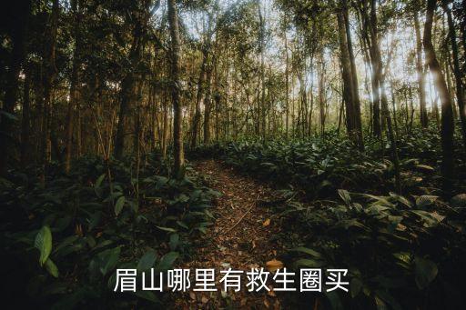 眉山哪里有救生圈買(mǎi)