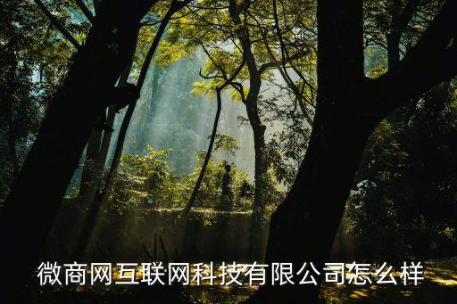  微商網互聯(lián)網科技有限公司怎么樣