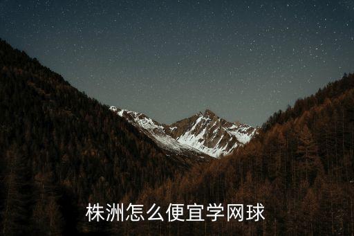 株洲怎么便宜學(xué)網(wǎng)球