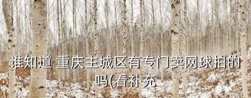 誰(shuí)知道 重慶主城區(qū)有專門賣網(wǎng)球拍的嗎(看補(bǔ)充