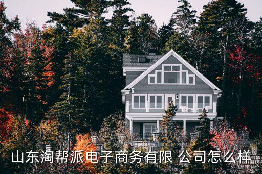 山東淘幫派電子商務(wù)有限 公司怎么樣