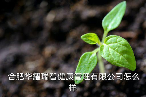  合肥華耀瑞智健康管理有限公司怎么樣