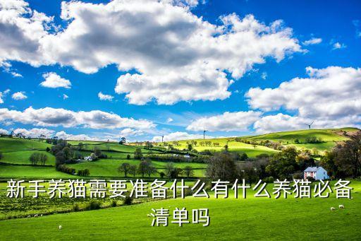 新手養(yǎng)貓需要準(zhǔn)備什么有什么養(yǎng)貓必備清單嗎