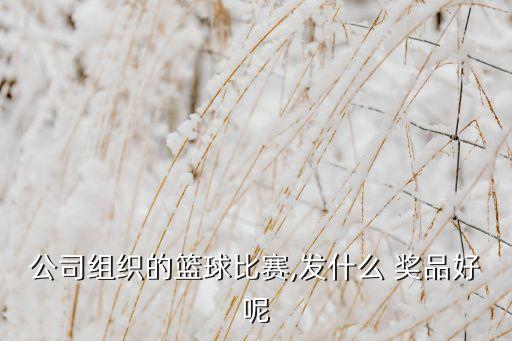 公司組織的籃球比賽,發(fā)什么 獎(jiǎng)品好呢