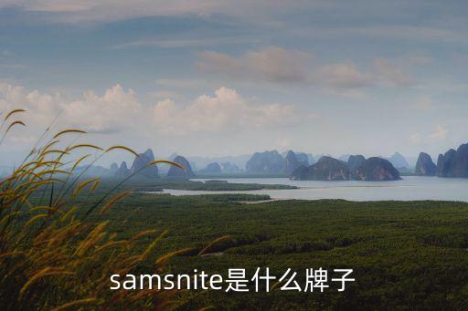 samsnite是什么牌子