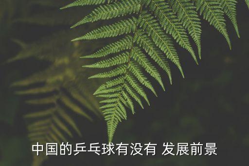 體育用品的發(fā)展未來,做體育用品的公司發(fā)展怎么樣