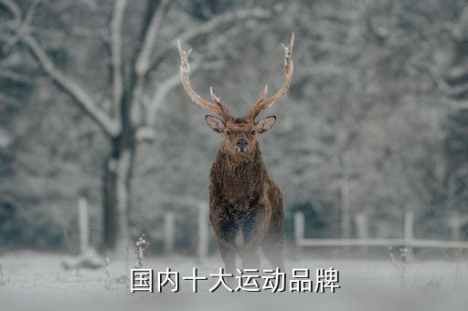 福建最大體育用品生產(chǎn)公司,福建體育用品公司有哪些