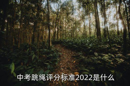 2022屆中考體育用品,中考體育用品有哪些