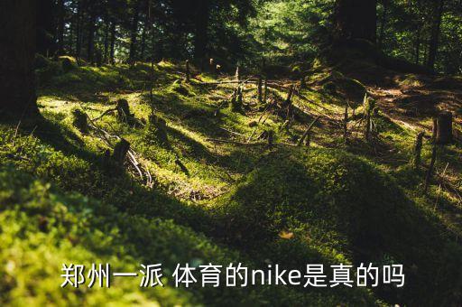  鄭州一派 體育的nike是真的嗎